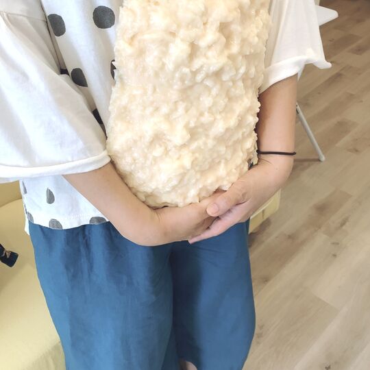 395FFEBE-CC3E-45E8-BB9A-1E09B47BFB7C